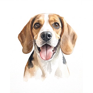 The same beagle drawn as watercolour